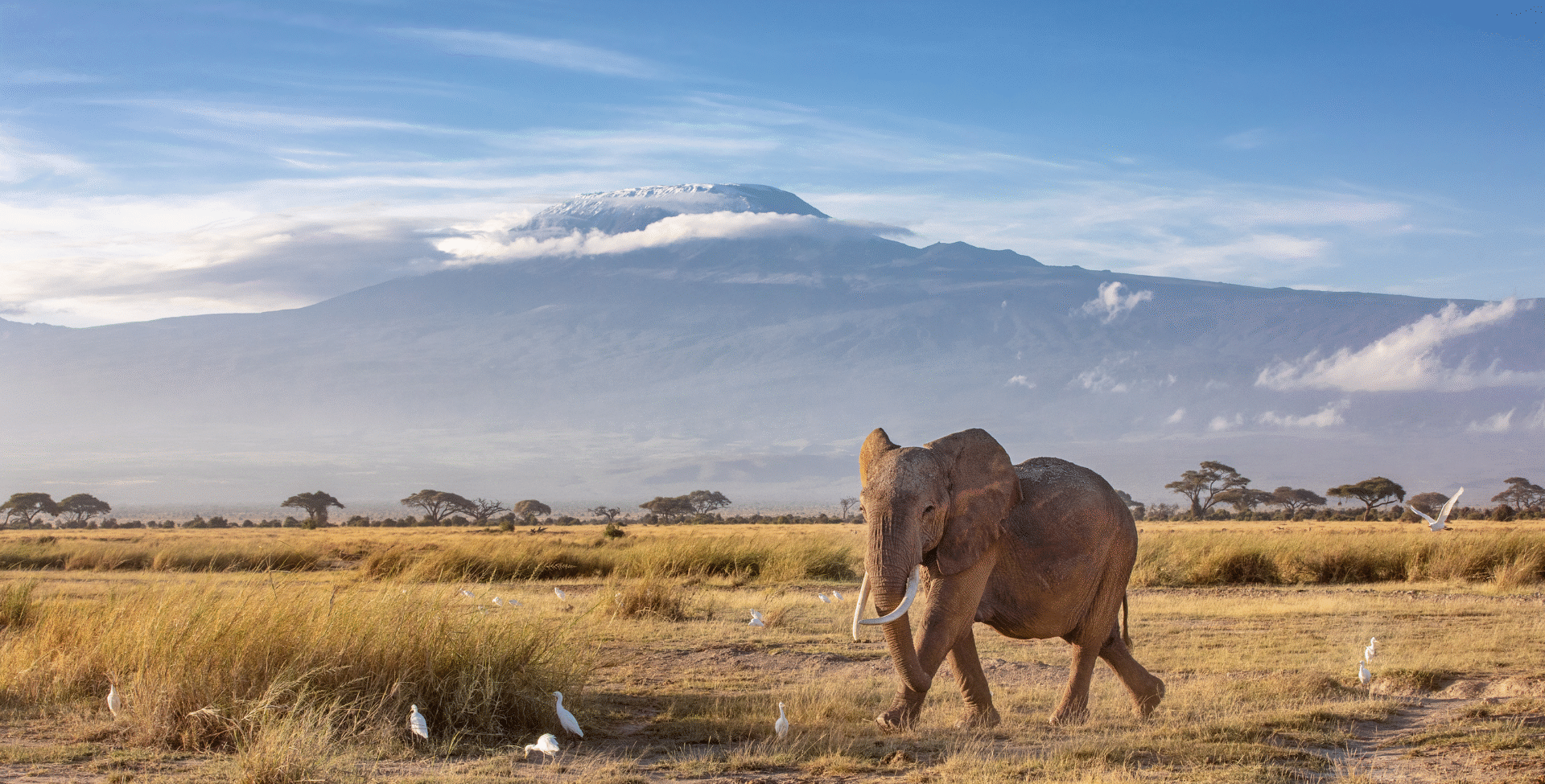 4 Days 3 Nights Safari