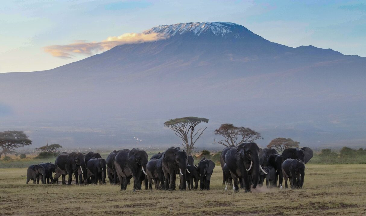 3 Days 2 Nights Amboseli Safari