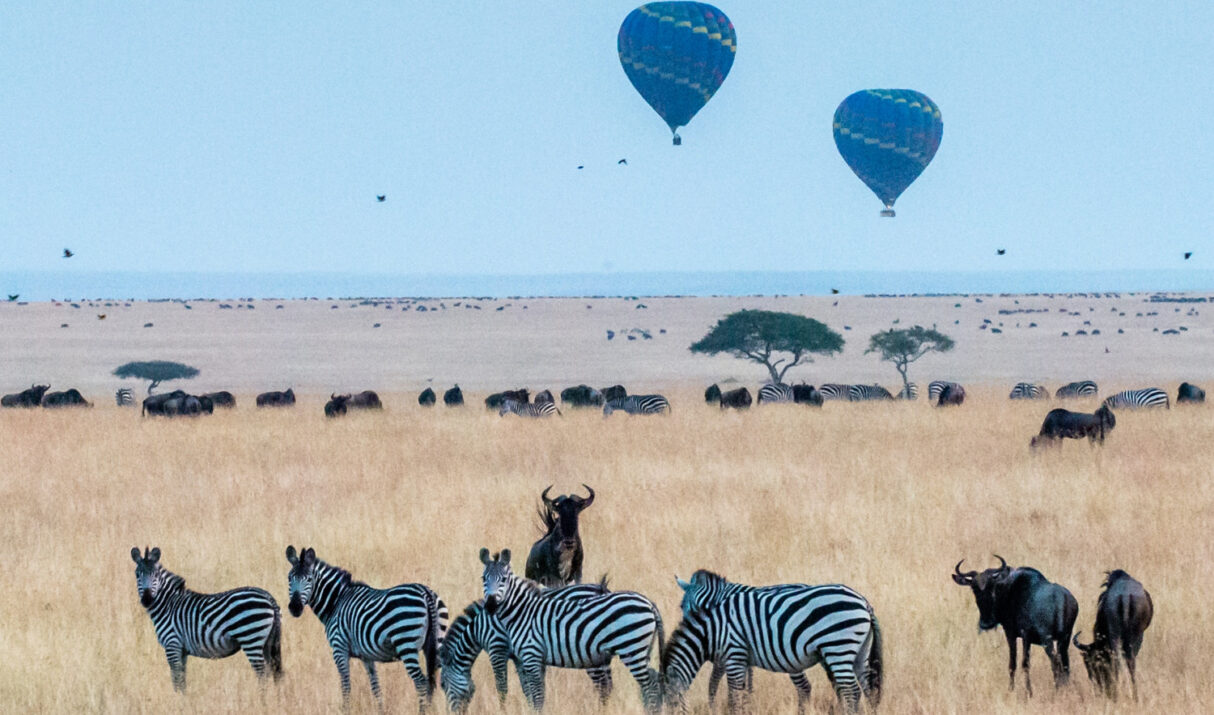 3 Days 2 Nights In Maasai Mara