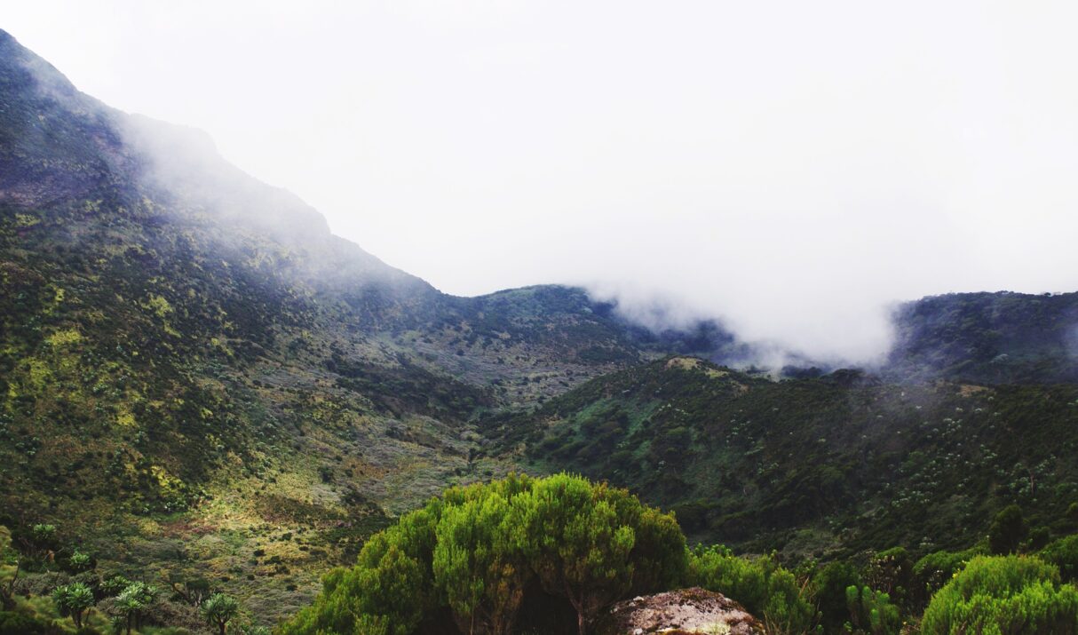 4 Days 3 Nights Samburu Mt. Kenya Safari