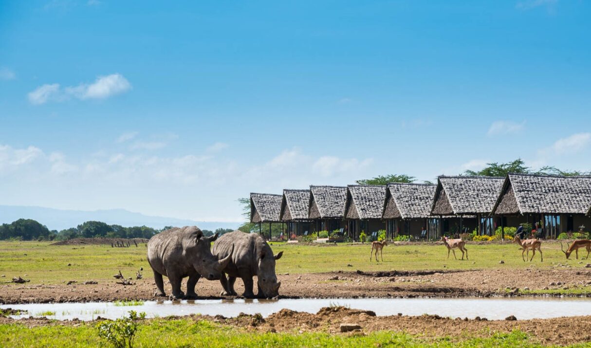 Sweetwaters Game Reserve