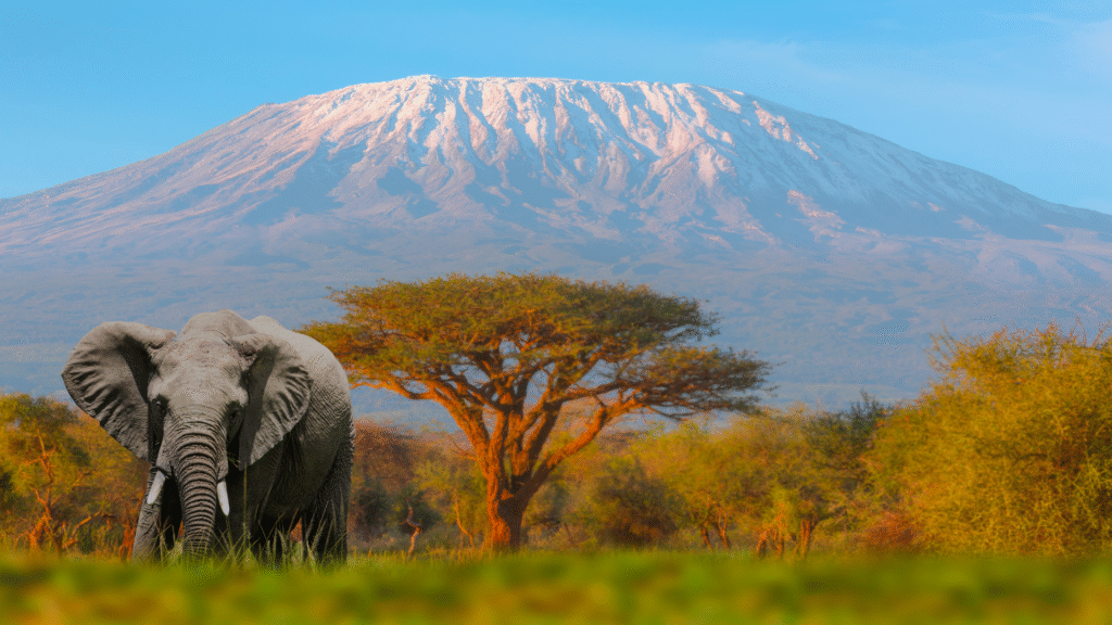 amboseli